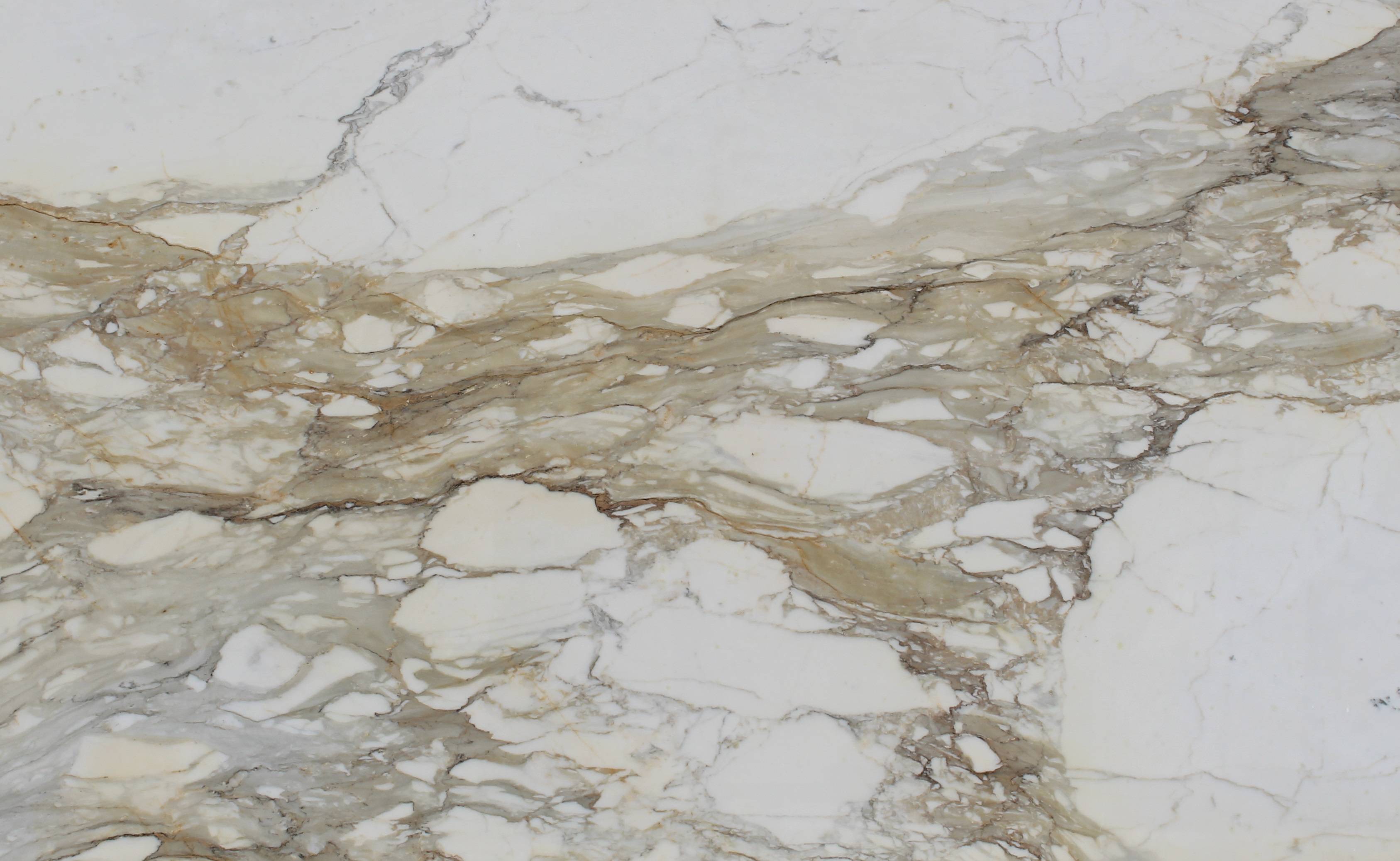 Calacatta Gold Marble